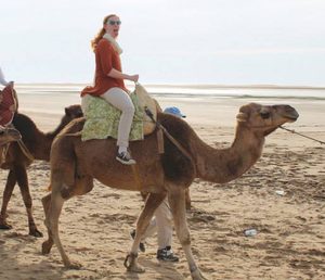 Casey on a Camel