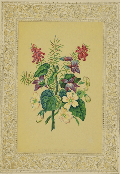 Victorian Flower Language Violets Modesty Innocence White Ceramic