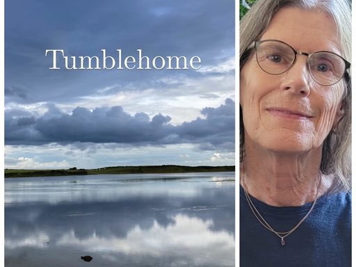 Tumblehome by Susan Jaret McKinstry