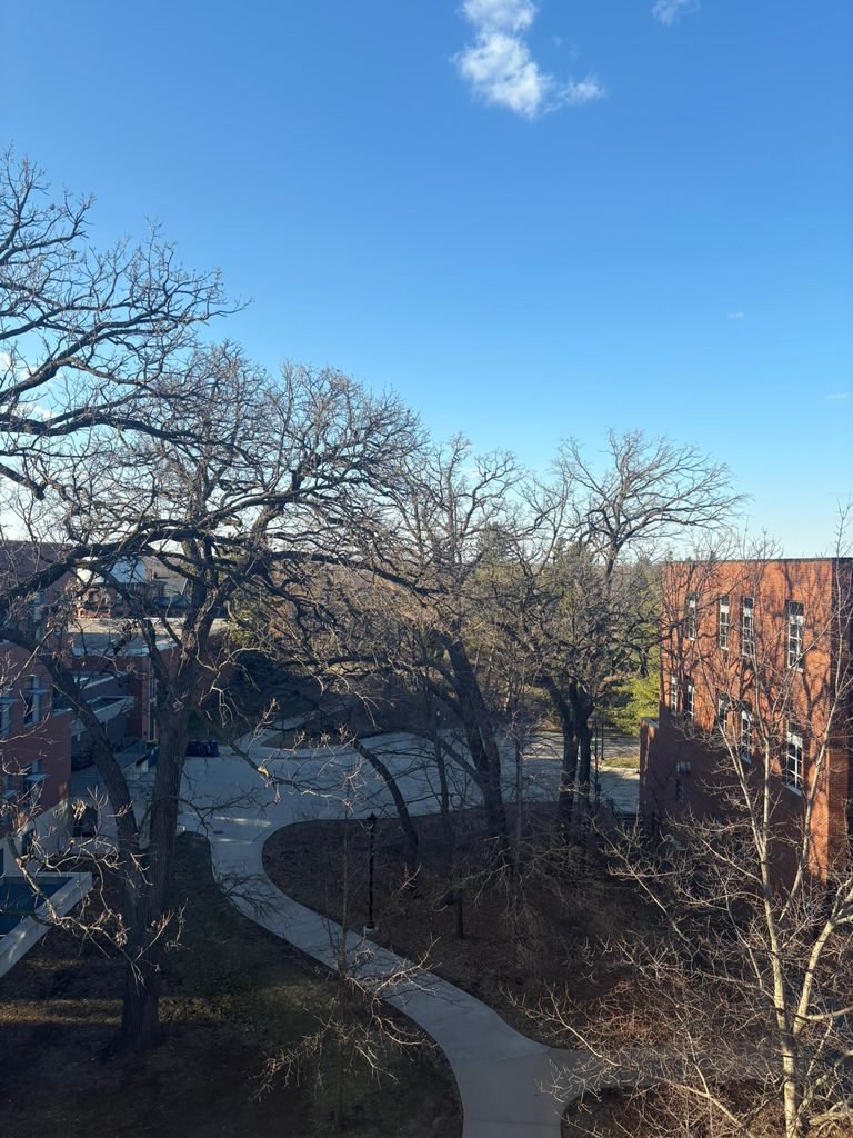 A sunny evening on campus